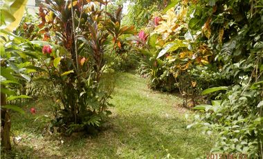 VENDO CASA EN EL FRANCES- A SOLO 188MIL  BOQUETE