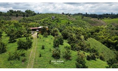 VENTA FINCA 17 CUADRAS ENTRE FILANDIA Y QUIMBAYA