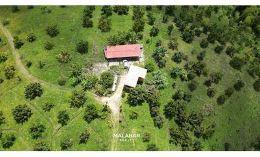 VENTA FINCA 17 CUADRAS ENTRE FILANDIA Y QUIMBAYA
