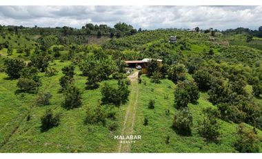VENTA FINCA 17 CUADRAS ENTRE FILANDIA Y QUIMBAYA