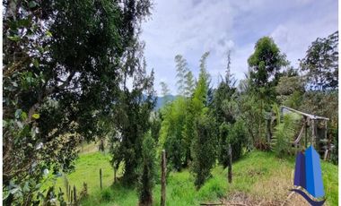 Casa campestre ubicada en el Municipío de La Ceja Antioquia