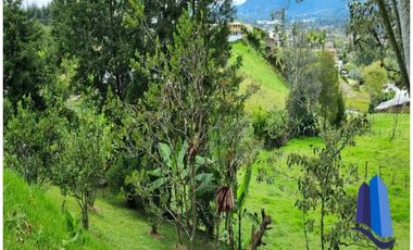 Casa campestre ubicada en el Municipío de La Ceja Antioquia