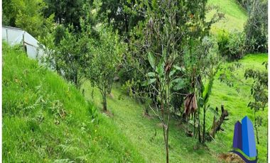 Casa campestre ubicada en el Municipío de La Ceja Antioquia