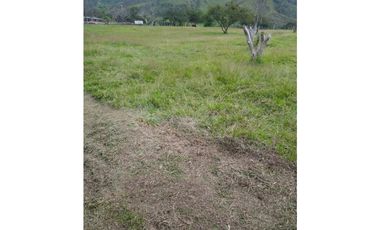 venta de finca en urrao antioquia