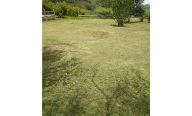 venta de finca en urrao antioquia