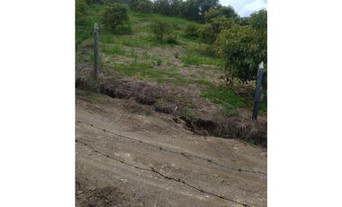 venta de finca en urrao antioquia