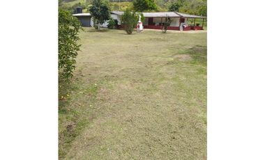 venta de finca en urrao antioquia