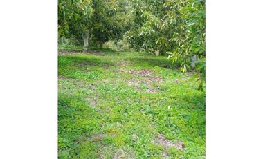 venta de finca en urrao antioquia