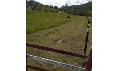 venta de finca en urrao antioquia