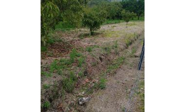 venta de finca en urrao antioquia