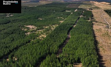 Venta de Parcelas Baratas en Cauquenes, Ruta Conquistadores