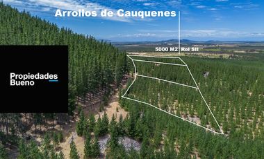 Venta de Parcelas Baratas en Cauquenes, Ruta Conquistadores