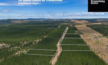 Venta de Parcelas Baratas en Cauquenes, Ruta Conquistadores