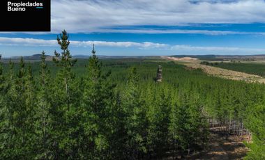 Venta de Parcelas Baratas en Cauquenes, Ruta Conquistadores