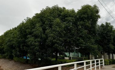 CASA EN VENTA EN CONDOMINIO Q CAMPESTRE AL NORPONIENTE DE AGS.