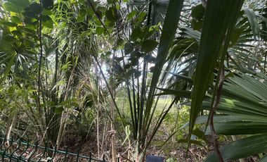 Venta o Renta Residencia en Privada frente al Campo de Golf Yucatán Countty Club