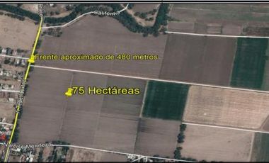 Terreno industrial en venta en Belém