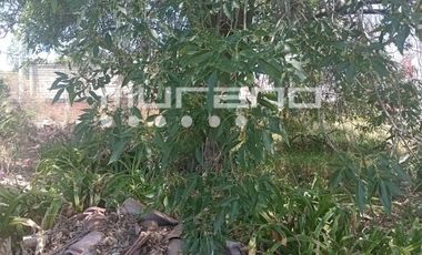 Terreno en Venta en Nicolás Romero la Colmena.
