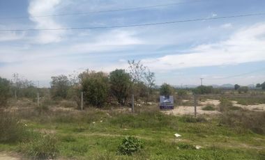 TERRENO PIE DE CARR. SAN LUIS DE LA PAZ- DOLORES GTO. SUP. 14,791 MTS