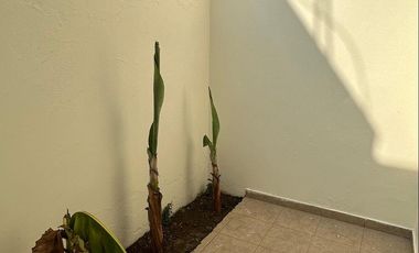 Casa en Fraccionamiento Real del valle, Mazatlán, Sinaloa.