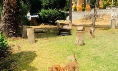 Casa - Rancho o rancheria San Miguel Regla