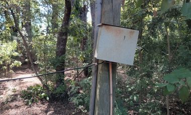 2 HECTAREAS EN VENTA, LA PLACETA, SAN CLEMENTE