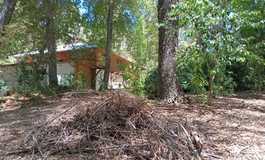 2 HECTAREAS EN VENTA, LA PLACETA, SAN CLEMENTE