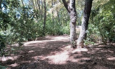 2 HECTAREAS EN VENTA, LA PLACETA, SAN CLEMENTE