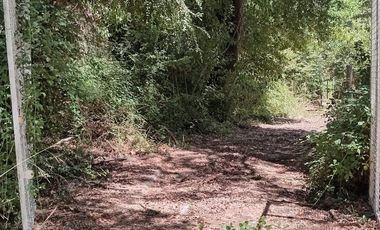 2 HECTAREAS EN VENTA, LA PLACETA, SAN CLEMENTE