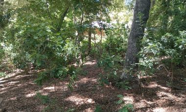 2 HECTAREAS EN VENTA, LA PLACETA, SAN CLEMENTE