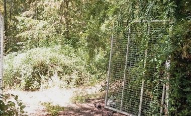 2 HECTAREAS EN VENTA, LA PLACETA, SAN CLEMENTE