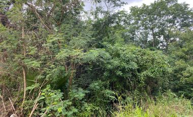 En venta Terreno en SM 307 Mza 120 Lote 03  Calle Leona Vicario Alfredo V Bonfil, C3942