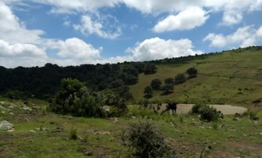 VENTA TERRENO QUERETARO SANTA ROSA JAUREGUI CARRETERA CAMINO A SAN MIGUEL DE ALLENDE