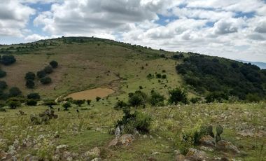 VENTA TERRENO QUERETARO SANTA ROSA JAUREGUI CARRETERA CAMINO A SAN MIGUEL DE ALLENDE