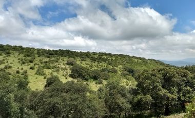 VENTA TERRENO QUERETARO SANTA ROSA JAUREGUI CARRETERA CAMINO A SAN MIGUEL DE ALLENDE
