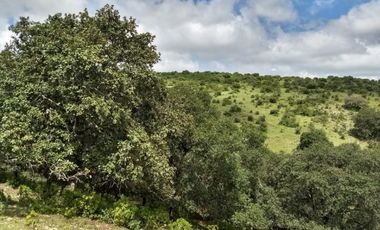 VENTA TERRENO QUERETARO SANTA ROSA JAUREGUI CARRETERA CAMINO A SAN MIGUEL DE ALLENDE