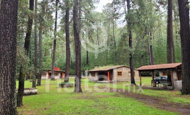 TERRENO FORESTAL EN VENTA SAN SALVADOR EL VERDE PUEBLA MEXICO