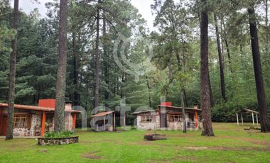 TERRENO FORESTAL EN VENTA SAN SALVADOR EL VERDE PUEBLA MEXICO