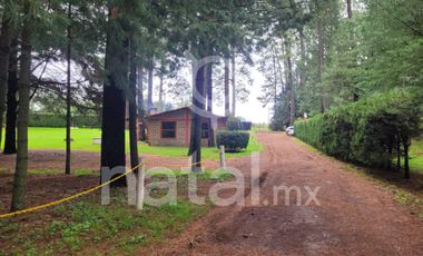 TERRENO FORESTAL EN VENTA SAN SALVADOR EL VERDE PUEBLA MEXICO