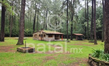 TERRENO FORESTAL EN VENTA SAN SALVADOR EL VERDE PUEBLA MEXICO