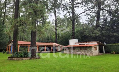 TERRENO FORESTAL EN VENTA SAN SALVADOR EL VERDE PUEBLA MEXICO