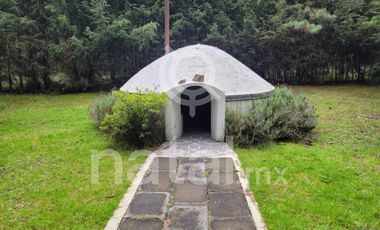 TERRENO FORESTAL EN VENTA SAN SALVADOR EL VERDE PUEBLA MEXICO