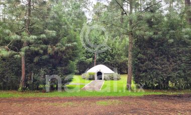 TERRENO FORESTAL EN VENTA SAN SALVADOR EL VERDE PUEBLA MEXICO