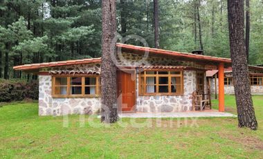 TERRENO FORESTAL EN VENTA SAN SALVADOR EL VERDE PUEBLA MEXICO