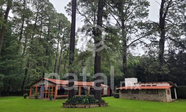 TERRENO FORESTAL EN VENTA SAN SALVADOR EL VERDE PUEBLA MEXICO