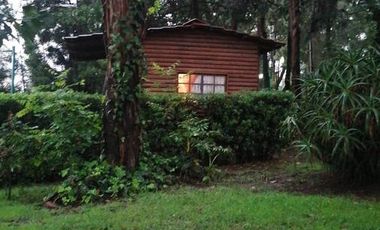 Departamento - Paseo de las Lomas