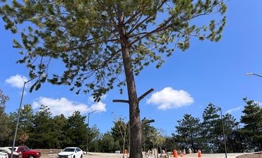 Terreno en Venta en Paseo de Altozano Fraccionamiento privado