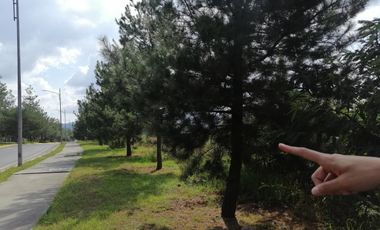 Terreno en Venta en Paseo de Altozano Fraccionamiento privado