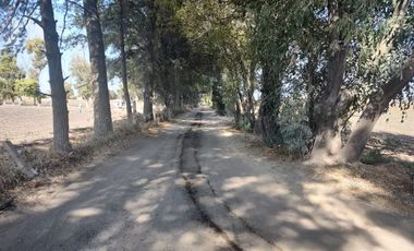 Casa - Pedro Escobedo