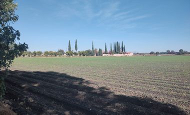 Casa - Pedro Escobedo